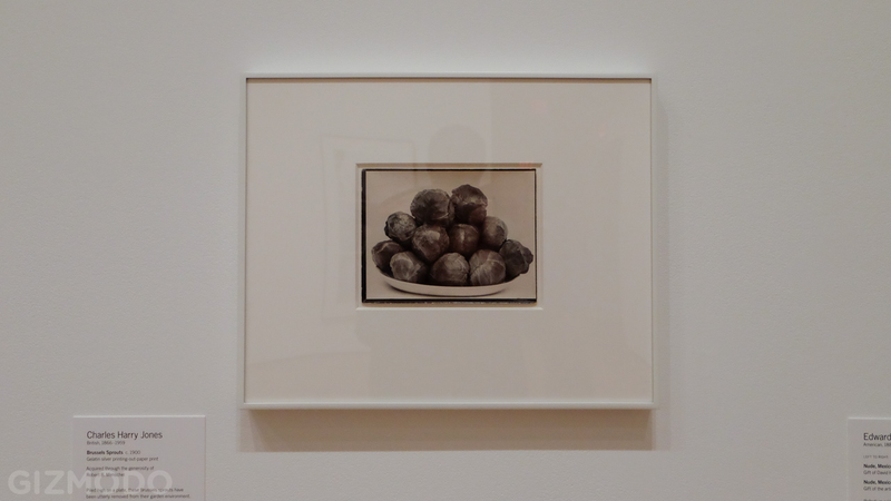 Illustration for article titled MoMa Exhibition Shows Where Photographers Go to Play